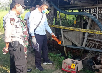 Hendak Buang Sampah, Warga Pati Temukan Bayi dalam Kardus