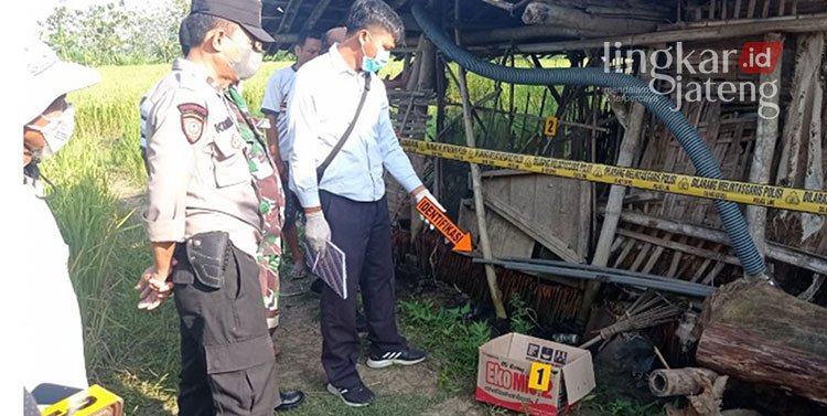 Hendak Buang Sampah, Warga Pati Temukan Bayi dalam Kardus