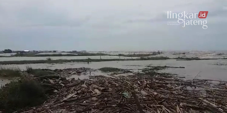 Cegah Banjir Rob Pati BPBD Imbau Warga Gencar Tanam Mangrove 1
