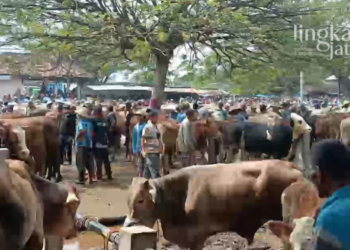 RAMAI: Situasi pasar hewan di Kunden Wirosari, Kabupaten Grobogan pada Kamis (19/05). (Muhamad Ansori/Lingkarjateng.id)