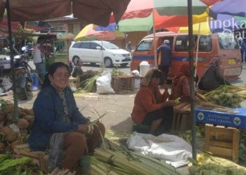 Peminat Janur Ketupat di Pati Menurun
