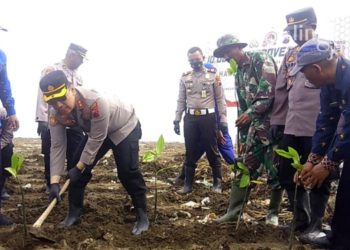 MENANAM: Penanaman mangrove di pesisir Pantai Indah Kemangi Desa Jungsemi, Kecamatan Kangkung, Kabupaten Kendal pada Kamis (09/06). (Unggul Priambodo/Lingkarjateng.id)