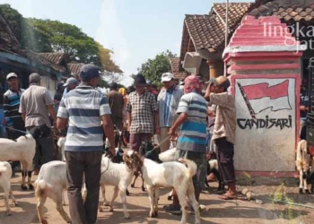 Pasar-Hewan-Pamotan-Rembang-Bakal-Direlokasi