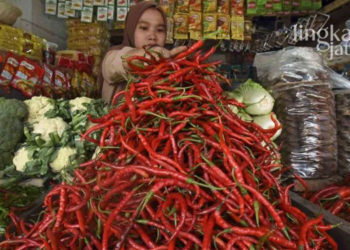 ILUSTRASI: Pedagang menjual kebutuhan pokok. (Ant/Lingkarjateng.id)