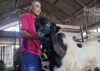 Tak-Ada-Lapak,-Pedagang-di-Rembang-Jual-Hewan-Kurban-Secara-Online
