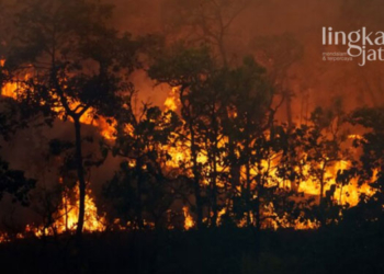 ILUSTRASI: Kebakaran hutan (Freepik @toa55/Lingkarjateng.id)