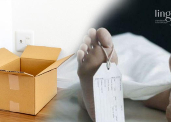 Jasad Wanita Tanpa Identitas Ditemukan Terbungkus Kardus di Demak