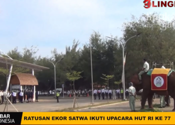 KHIDMAT: Satwa koleksi Taman Safari Beach Batang dan para staf tengah mengikuti upacara HUT ke-77 Kemerdekaan RI pada Rabu, 17 Agustus 2022. (Dok. Lingkar TV/Lingkarjateng.id)