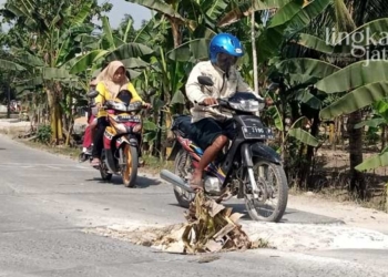 Warga Tanam Pohon Pisang di Jalan Berlubang, Begini Tanggapan DPUPR Grobogan