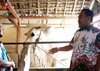 Bupati Arief Pacu Kesuksesan Peternak Blora lewat Sekolah Peternakan Rakyat