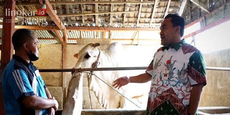 Bupati Arief Pacu Kesuksesan Peternak Blora lewat Sekolah Peternakan Rakyat