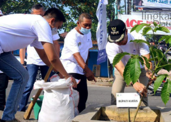 MENANAM: Bupati Kudus, HM Hartopo saat menanam pohon tabebuya di Jalan Boulevard, Jati Wetan, Kudus dalam rangka memperingati hari jadi ke-473 Kabupaten Kudus pada Sabtu, 24 September 2022. (Istimewa/Lingkarjateng.id)