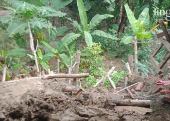 4-Rumah-Warga-Terancam-Ambrol-Akibat-Tanah-Longsor-di-Blora