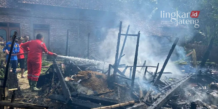 LUDES: Rumah dan kandang milik Paijan, warga Dusun Kemamang RT 03, RW 01, Desa Sarimulyo, Kecamatan Winong, Kabupaten Pati ludes terbakar pada Sabtu pagi, 8 Oktober 2022. (Dok. Satpol PP Pati/Lingkarjateng.id)