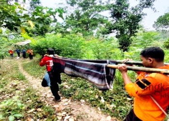 EVAKUASI : Petugas BPBD Rembang mengevakuasi seorang pendaki yang diduga mengalami hipotermia di Puncak Argopuro Rembang pada Minggu, 9 Oktober 2022. (R Teguh Wibowo/Lingkarjateng.id)