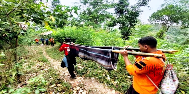 EVAKUASI : Petugas BPBD Rembang mengevakuasi seorang pendaki yang diduga mengalami hipotermia di Puncak Argopuro Rembang pada Minggu, 9 Oktober 2022. (R Teguh Wibowo/Lingkarjateng.id)