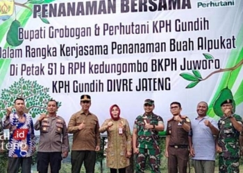 Manfaatkan Lahan Gundul, Bupati Grobogan Tanam Alpukat dan Durian 30 Manfaatkan-Lahan-Gundul,-Bupati-Grobogan-Tanam-Alpukat-dan-Durian