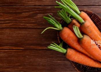 Mata Minus Minum Jus Wortel Apa Bisa Sembuh