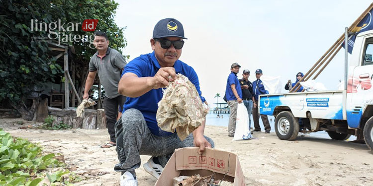 PEDULI: Ketua DPD NasDem Jepara, Pratikno sedang membersihkan sampah di Pantai Teluk Awur bersama para pengurus dan kader partai. (Muslichul Basid/Lingkarjateng.id)