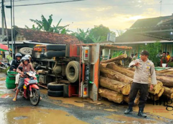 TERGULING: Truk muatan kayu terguling di Jalan Tlogowungu-Pati turut Desa Tlogorejo, Kecamatan Tlogowungu, Kabupaten Pati pada Senin, 30 Januari 2023. (Istimewa/Lingkarjateng.id)