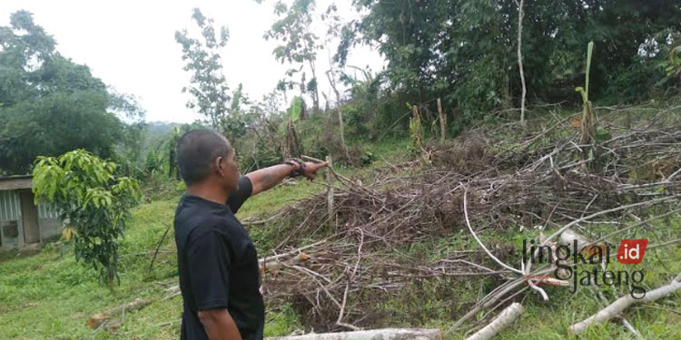 MENINJAU: Salah satu warga menunjukkan suasana lahan imbas penebangan pohon di Waduk Jatibarang, Kecamatab Mijen, Kota Semarang, pada Selasa, 10 Januari 2023. (Adimungkas/Lingkarjateng.id)