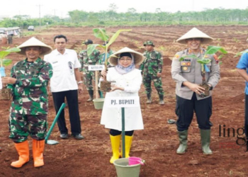 MENANAM: Penjabat (Pj) Bupati Batang, Lani Dwi Rejeki tanam pohon pisang lokal dalam memperkuat ketahanan pangan. (Dok. Website Pemkab Batang/Lingkarjateng.id)