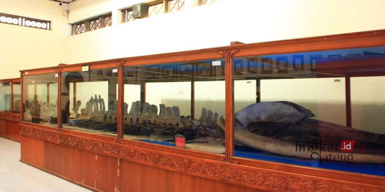 POTRET: Salah satu koleksi benda kuno di Museum RA Kartini Jepara. (Istimewa/Lingkarjateng.id)