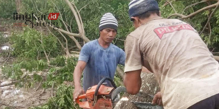 MEMOTONG: Warga tengah menebang pohon yang ada di calon lokasi relokasi rumah korban tanah bergerak. (R.Teguh Wibowo/Lingkarjateng.id)