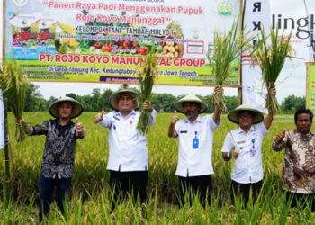 PANEN RAYA: Bupati Blora, Arief Rohman (ketiga dari kiri) dalam kegiatan panen raya bersama Kelompok Tani Tambah Mulyo I Desa Tanjung, Kecamatan Kedungtuban, Kabupaten Blora pada Kamis, 2 Februari 2023. (Dok. Humas Pemkab Blora/Lingkarjateng.id)