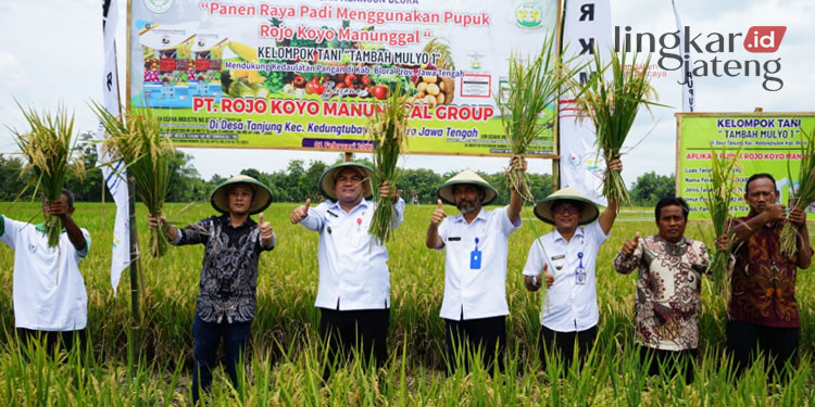 PANEN RAYA: Bupati Blora, Arief Rohman (ketiga dari kiri) dalam kegiatan panen raya bersama Kelompok Tani Tambah Mulyo I Desa Tanjung, Kecamatan Kedungtuban, Kabupaten Blora pada Kamis, 2 Februari 2023. (Dok. Humas Pemkab Blora/Lingkarjateng.id)