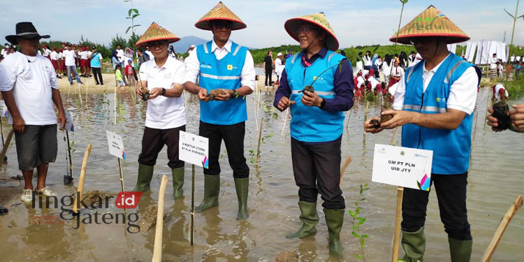 Cegah Abrasi, Wisata Jembatan Merah Rembang Ditanami 100 Ribu Mangrove