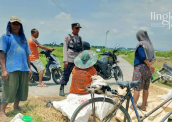 MENGIMBAU: Polsek Karangawen mengimbau warga Karang Malang, Kecamatan Karangawen, Kabupaten Demak untuk tak menjemur padi di jalan umum. (Muhammad Burhanuddin Aslam/Lingkarjateng.id)