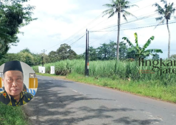 Rawan Kecelakaan, DPRD Pati Rusdi Desak Dishub Pasang Lampu di Jalan Pati-Gembong 25 MINIM PENERANGAN: Jalan Pati-Gembong belum dipasangi lampu penerangan. (Arif Febriyanto/Lingkarjateng.id)