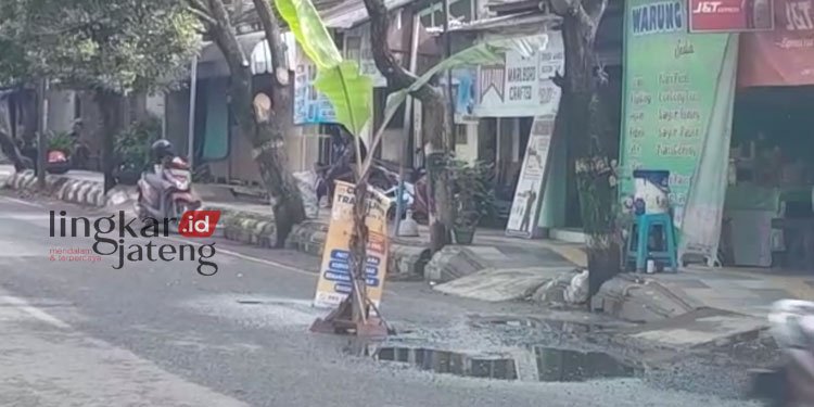 Sempat Ditanami Pohon Pisang, Jalan Berlubang di Pati-Kayen Akhirnya Ditambal 25 JALAN BERLUBANG: Jalan berlubang di ruas Pati-Kayen turut Desa Blaru, Kecamatan/Kabupaten Pati ditanami pohonpisang karena membahayakan jalan. (Istimewa/Lingkarjateng.id)