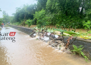 BANJIR: Tanggul jebol akibatkan puluhan rumah dan sawah terendam banjir di Desa Golantepus, Kecamatan Mejobo, Kabupaten Kudus. (Ihza Fajar/Lingkarjateng.id)