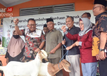 SIMBOLIS: Pj Wali Kota Salatiga, Sinoeng N Rachmadi (baju batik merah), Ketua DPRD Dance Ishak Palit dan Ketua Komisi B DPRD Salatiga M Miftah menyerahkan kambing kepada kelompok tani Ngudi Rejeki 1. (Istimewa/Lingkarjateng.id)