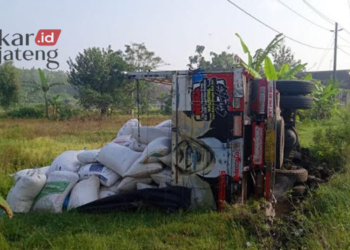 TERGULING: Truk muatan jagung terguling di Jalan Raya Karangrayung –Juwangi turut Desa Sumberejosari, Kecamatan Karangrayung, Kabupaten Grobogan pada Jumat, 17 Maret 2023. (Muhamad Ansori/Lingkarjateng.id)