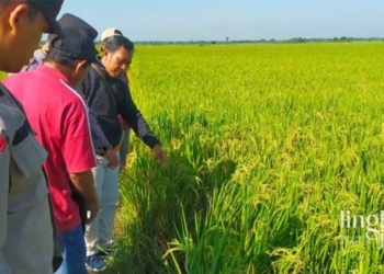 MENINJAU: Pihak kepolisian ketika mengolah TKP ditemukannya jenazah Sutikno (64). (Ibnu Muntaha/Lingkarjateng.id)