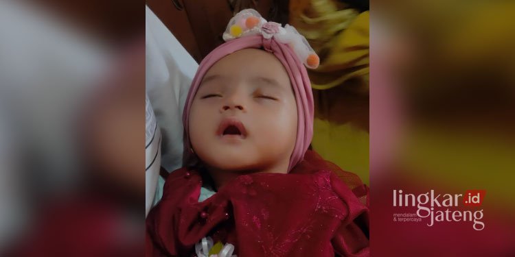 POTRET: Bayi umur tiga bulan bernama Mazaya Keyra El Naura putri dari Mohammad Sholeh Ika yang mendadak hilang saat tidur di rumah Desa Kauman RT 04 RW 01, Kelurahan Pati Kidul, Kabupaten Pati. (Istimewa/Lingkarjateng.id)