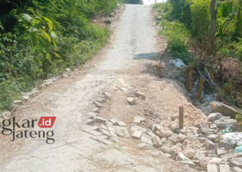 TERANCAM AMBROL: Kondisi Jembatan Ngrawut turut Dukuh Ngrawut, Desa Plosorejo, Kecamatan Randublatung, Kabupaten Blora terancam ambrol. (Hanafi/Lingkarjateng.id)