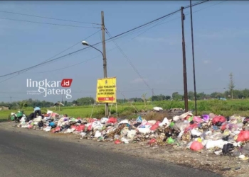 JOROK: Tumpukan sampah di Jalan Guyangan-Jetak turut Kecamatan Wedarijaksa mengganggu pengguna jalan karena menimbulkan bau busuk. (Khairul Mishbah/Lingkarjateng.id)