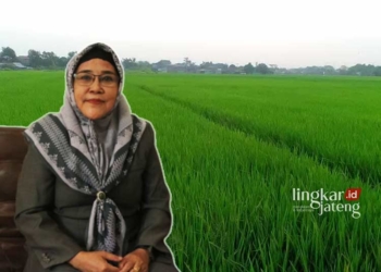 POTRET: Anggota DPRD Pati, Maesaroh. (Istimewa/Lingkarjateng.id)