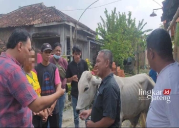 MEDIASI: Mediasi antara Suparyogi, pemilik sapi dengan K (baju kuning). (Ibnu Muntaha/Lingkarjateng.id)