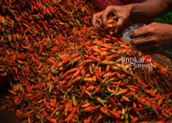 ILUSTRASI: Harga cabai rawit mulai melonjak naik jelang Iduladha. (Istimewa/Lingkarjateng.id)