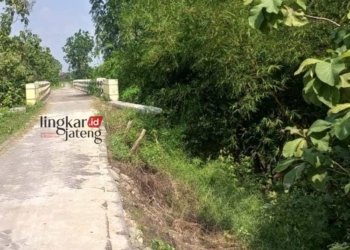 Miris! Jalan Menuju Jembatan Taman Kulon Blora Nyaris Longsor 31 NYARIS LONGSOR: Jalan menuju jembatan Taman Kulon, Desa Kadengan, Kecamatan Randublatung, Kabupaten Blora terkikis erosi. (Hanafi/Lingkarjateng.id)