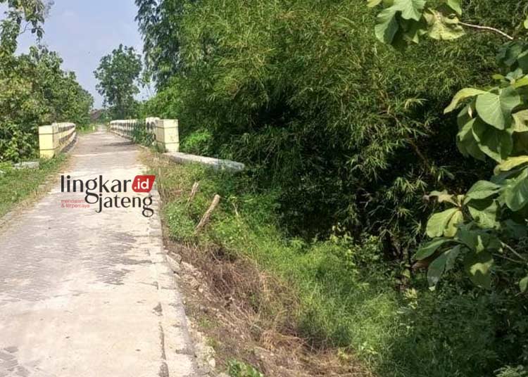 NYARIS LONGSOR: Jalan menuju jembatan Taman Kulon, Desa Kadengan, Kecamatan Randublatung, Kabupaten Blora terkikis erosi. (Hanafi/Lingkarjateng.id)