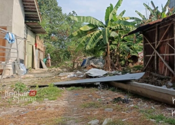 BERSERAKAN: Salah satu atap rumah warga yang jatuh akibat tertiup angin kencang. (Istimewa/Lingkarjateng.id)