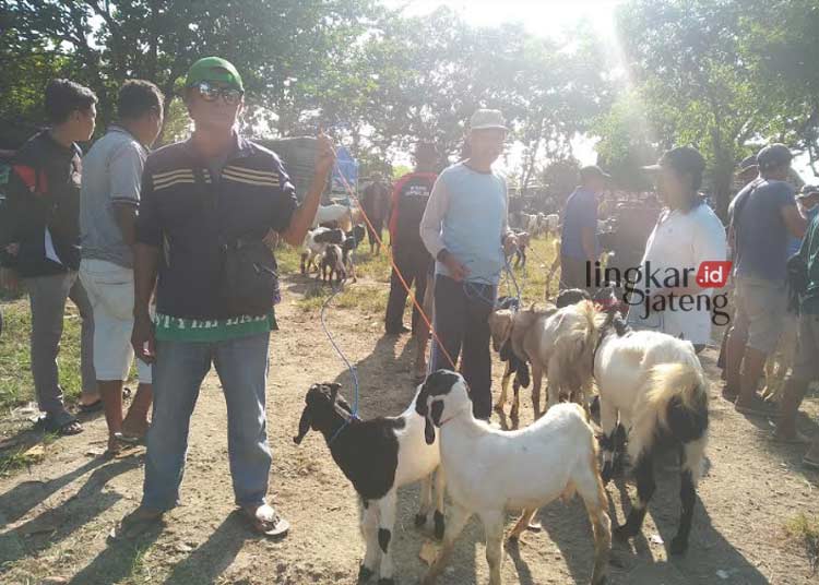 MENJUAL: Penjual hewan kurban di Pasar Hewan Margorejo, Kabupaten Pati. (Setyo Nugroho/Lingkarjateng.id)