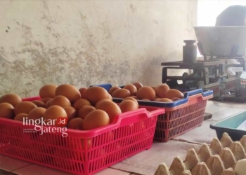 POTRET: Sekeranjang telur yang dijual pedagang. (Khairul Mishbah/Lingkarjateng.id)