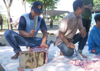 MEMOTONG: Panitia Kurban Hari Raya Idul Adha UMK saat sedang memotong daging kurban. (Nisa Hafizhotus Syarifa/Lingkarjateng.id)